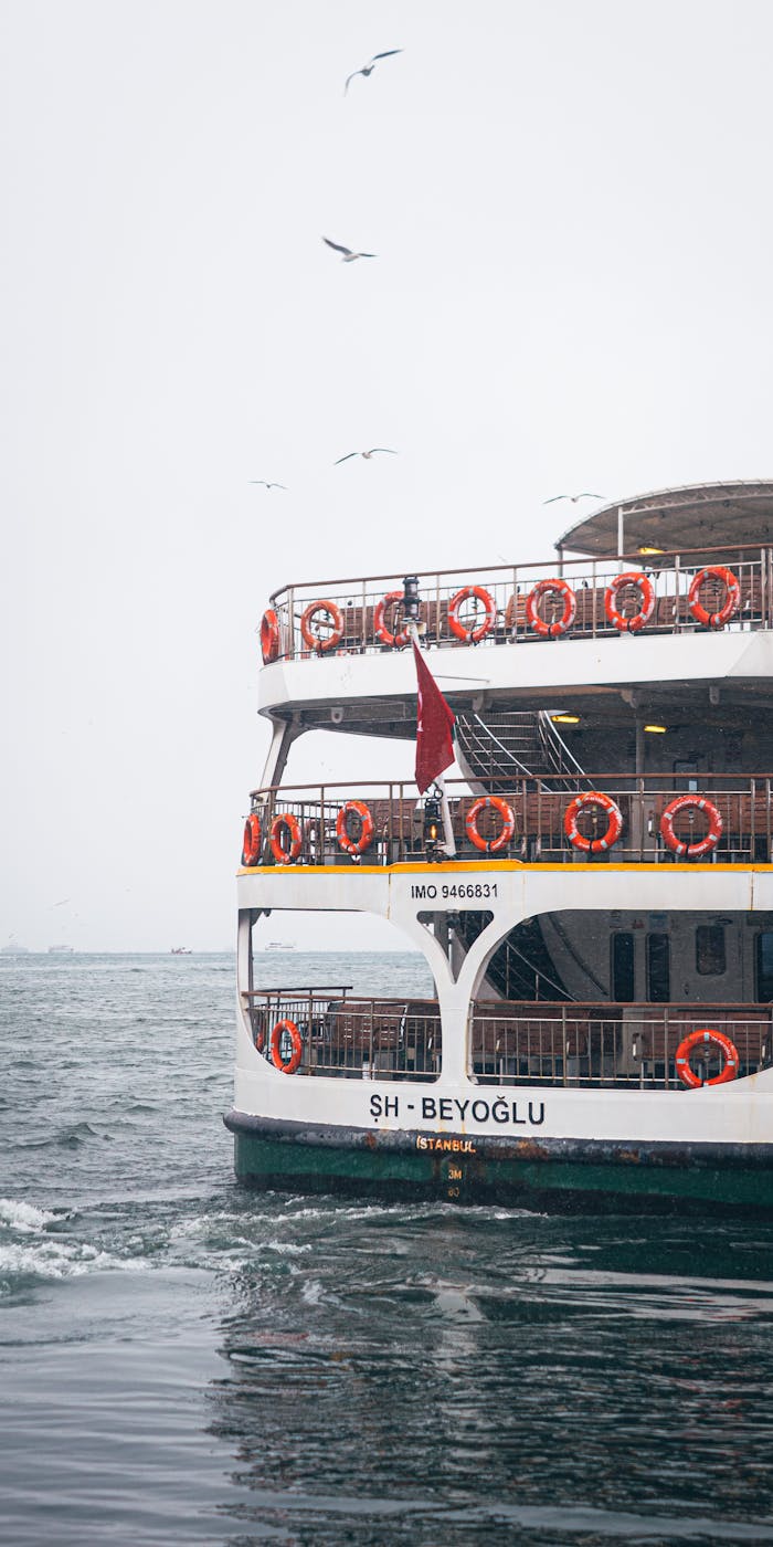 A ferry sails on the Bosphorus in Istanbul with seagulls overhead, capturing a serene moment.